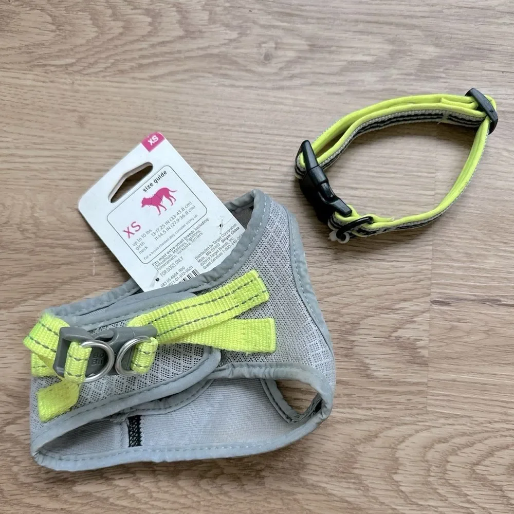 Boots & Barkley Gray Reflective Dog Harness XS NWT Free Collar Small Puppy